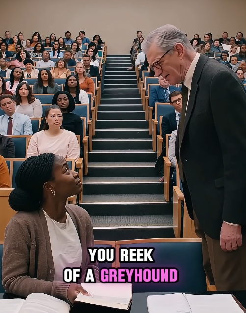 Harvard Professor Bet No One Could Solve It — Then Black Girl Raised Her Hand and Everything Changeds