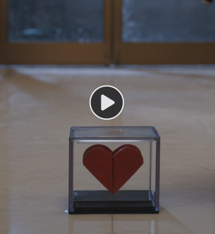 A Gift from the Heart, Trampled... And the Heart-Wrenching Truth Behind the Keepsake Box! 😳💔