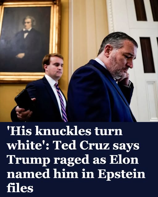 ‘His Knuckles Turn White’: Ted Cruz Says Trump Raged as Elon Named Him in Epstein Files