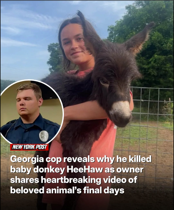 Georgia Cop Reveals Why He Shot Baby Donkey HeeHaw as Owner Shares Heartbreaking Video of Beloved Animal's Final Days