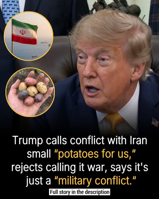 Trump Dismisses Six-Month Iran Conflict as 'Small Potatoes,' Says It's 'Not a War'