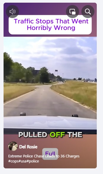  Traffic Stops That Went Horribly Wrong