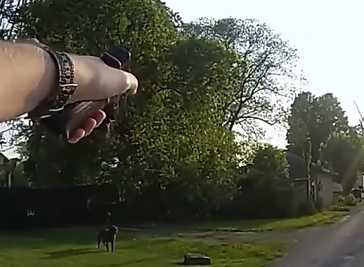 Officer Steps In During a Dangerous Dog Attack