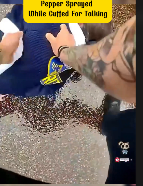 Pepper Sprayed While Cuffed For Talking