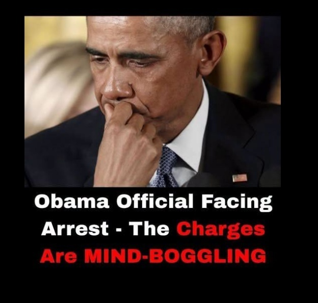 Former Obama Aide Faces Felony Fraud Charge — Viral Graphic Distorts What Happened