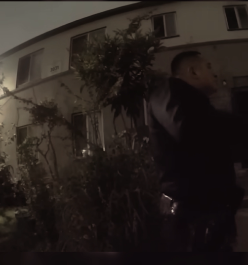 Armed Man With Knives and BBQ Fork Shot by Officers