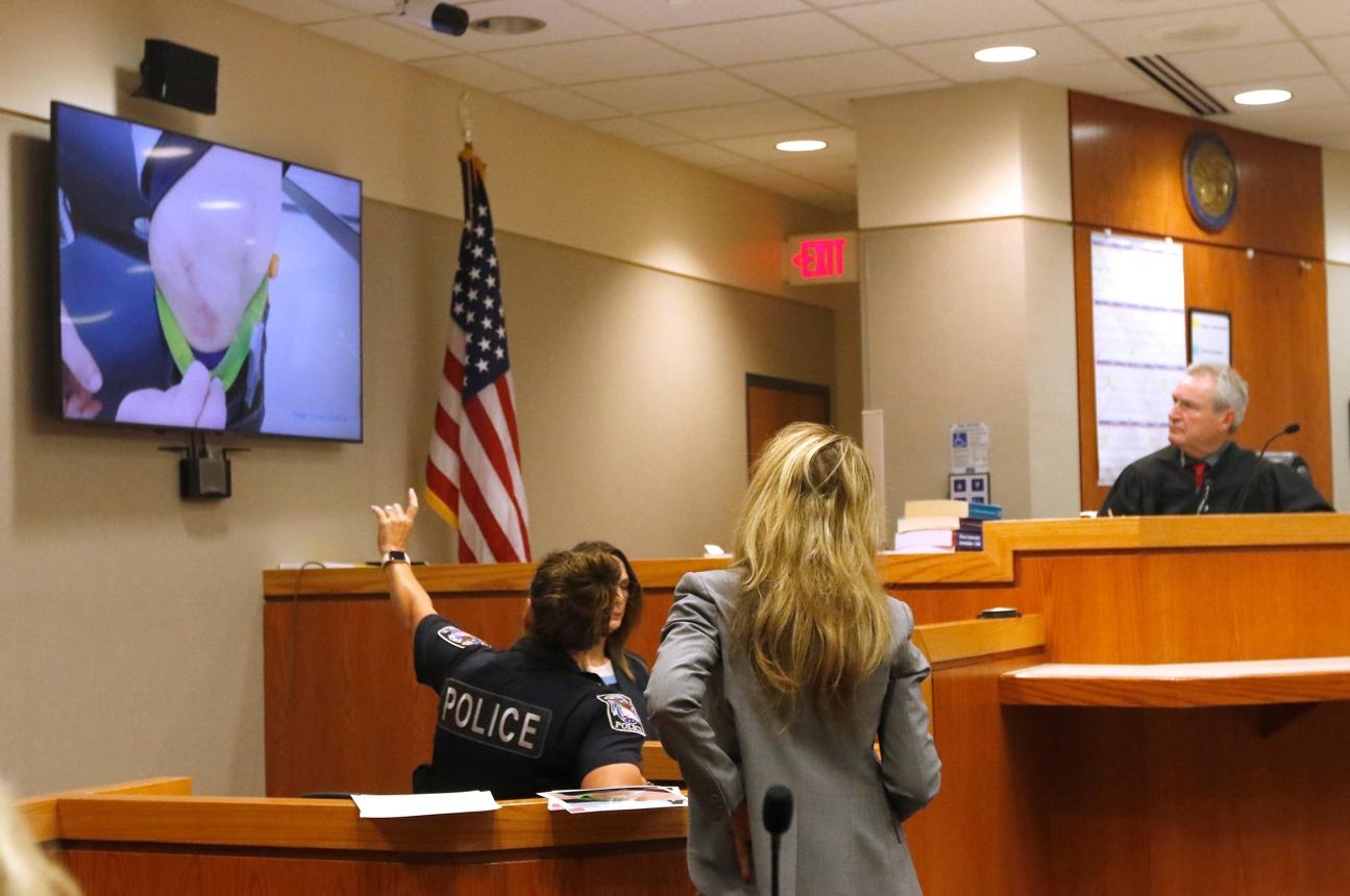 McHenry County aims to increase security for judges by removing personal info: ‘Days we’re living in’ – Shaw Local