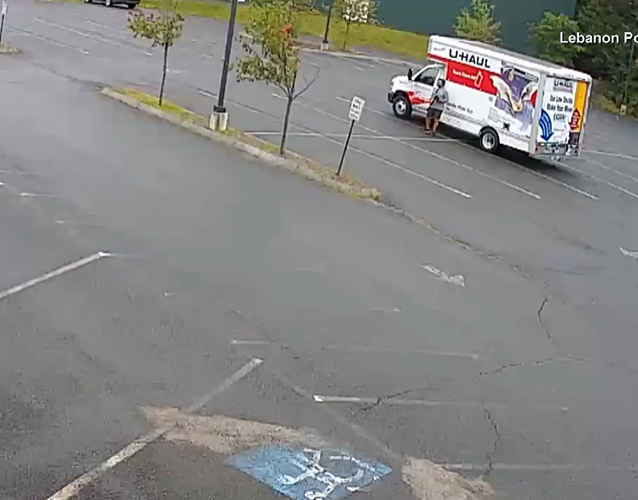 What Is This Vicious Animal In Caught On Camera Attack?