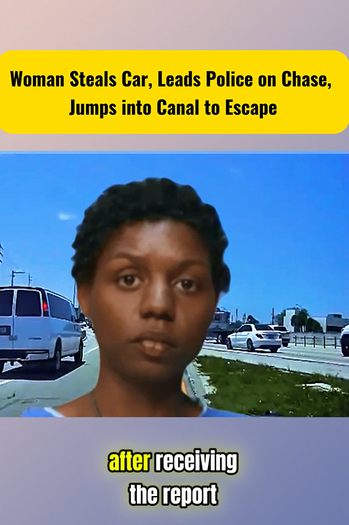Woman Steals Car, Leads Police on Chase, Jumps into Canal to Escape