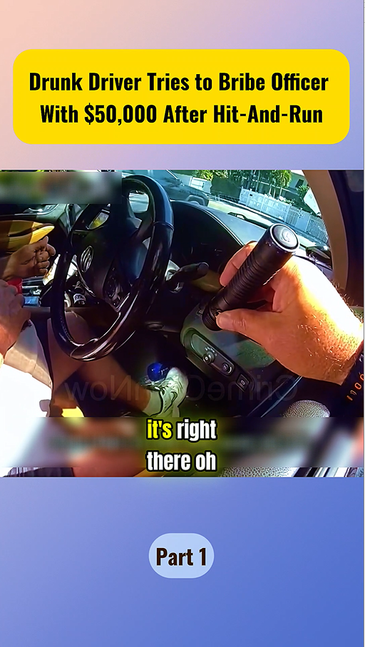 Drunk Driver Tries to Bribe Officer With $50,000 After Hit-And-Run