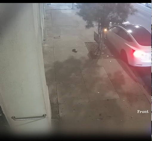 Tesla Driver Runs From Police Then Causes Fatal Crash