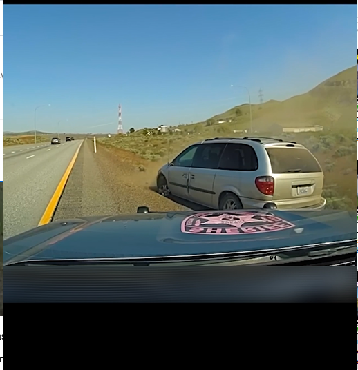 When Fleeing Police Goes Horribly Wrong