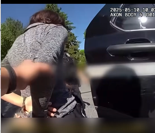 Entitled Woman Turns a Roadblock Into a Disaster2