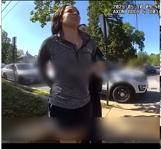 Trooper Pulls Passenger by his Dreadlocks Before Punching Him2