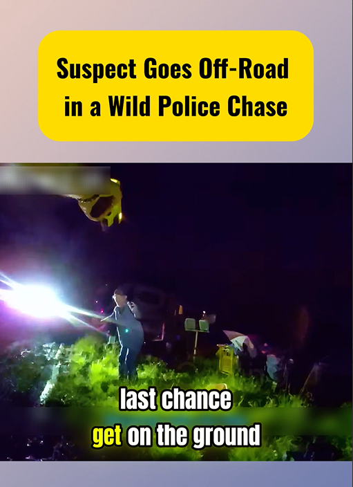Suspect Goes Off-Road in a Wild Police Chase