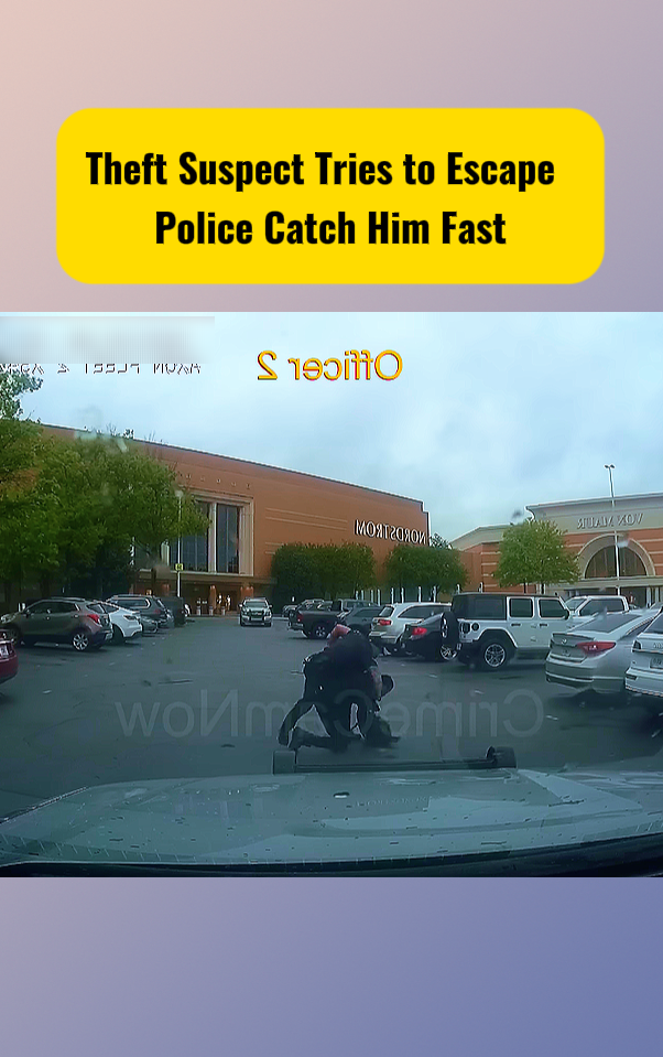 Theft Suspect Tries to Escape — Police Catch Him Fast