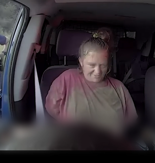 Michigan State Police Car Gets Stolen