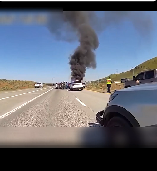 When Fleeing Police Goes Horribly Wron