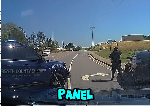 FLEEING DRIVER LEADS POLICE ON WILD CHASE