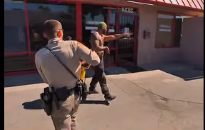 This Might Be the Best Taser Deployment in Cop History