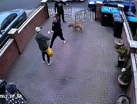 Guy Harasses the Wrong Mother — Her Son Knocks Him Out