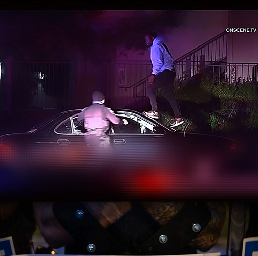 Wild Police Encounter Takes an Unexpected Turn