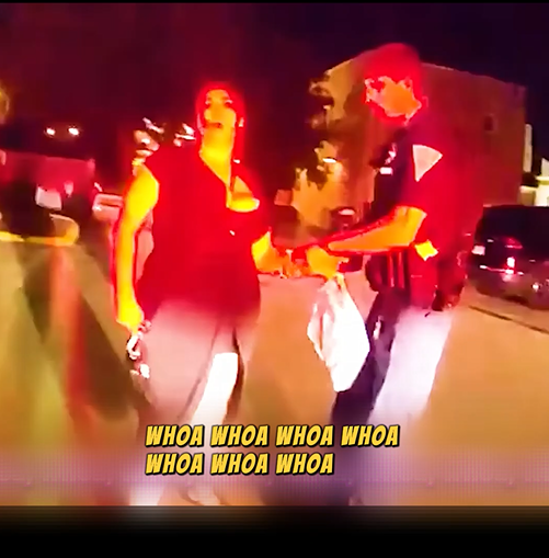 Passenger Turns Simple Traffic Stop Into Chaos
