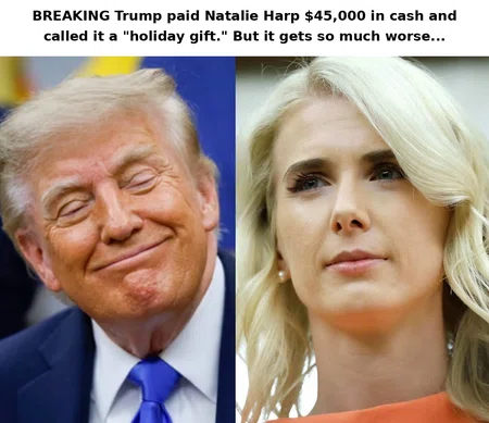 Trump's Close Aide Natalie Harp Under Scrutiny: What We Know About the Controversial White House Relationship