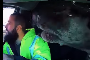 Road Rage Incident Escalates as Cop Loses Control