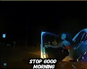 Woman Tries to Get Out of DUI by Offering S** to Officer