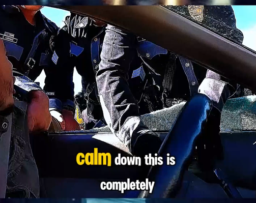 Driver Refuses to Exit Vehicle During Tense Police Stop