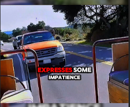 Tourists’ Peaceful Wagon Ride Ends in Shocking Crash
