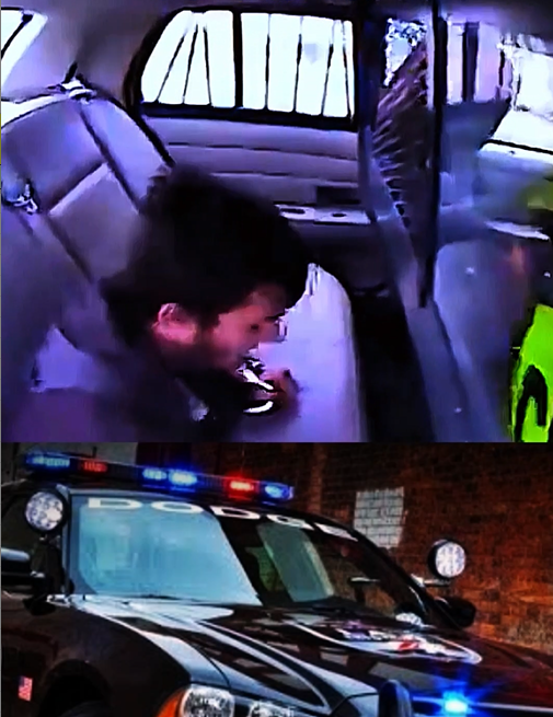 Police Car Flips Over With Prisoner Inside