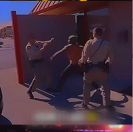 Best Taser Deployment in Cops History XD