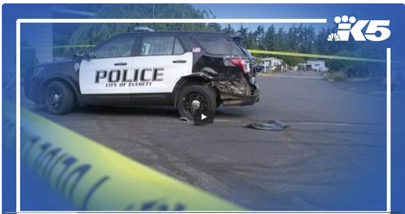 🚨 STOLEN TRUCK ATTACK! Armed Good Samaritan Rammed During Chaotic Incident 😱💥