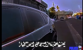 Man Flees Pretextual Stop — Officer Fires 8 Shots