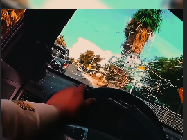 When Running From the Cops Goes Horribly Wrong