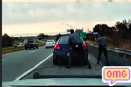 📢📢📢 Driver Ends Up on the Ground After Police Stop