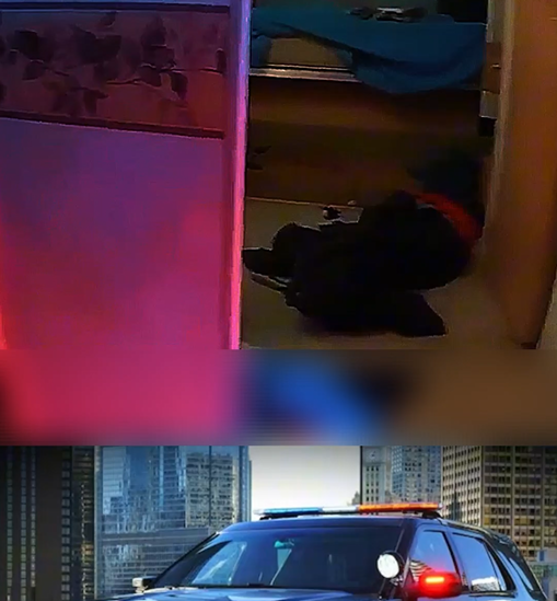 Fugitive Hides Under Mattress, Ambushes Police with Pistol