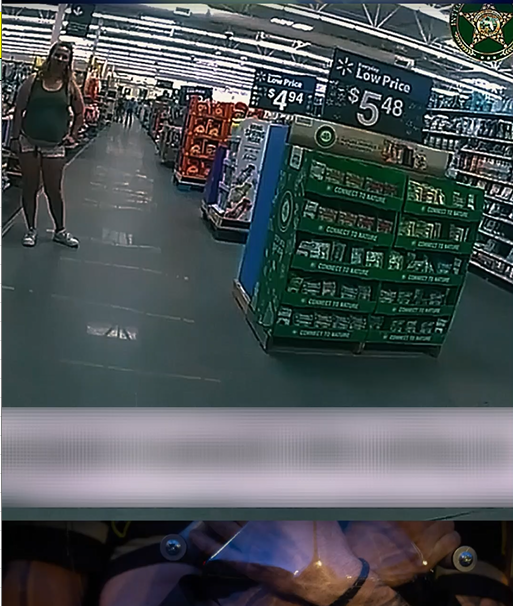 Florida Deputy Ruins Meth User's Day With the TASER