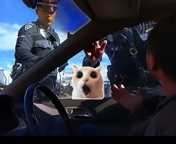 Traffic Stop Escalates as NM State Officer Breaks Driver’s Window