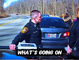 Video Shows Port Authority Official Cursing at Cops — Then She Resigns