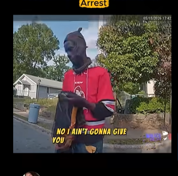 Female Officer Challenges Suspect To Fight Before Chaotic Arrest