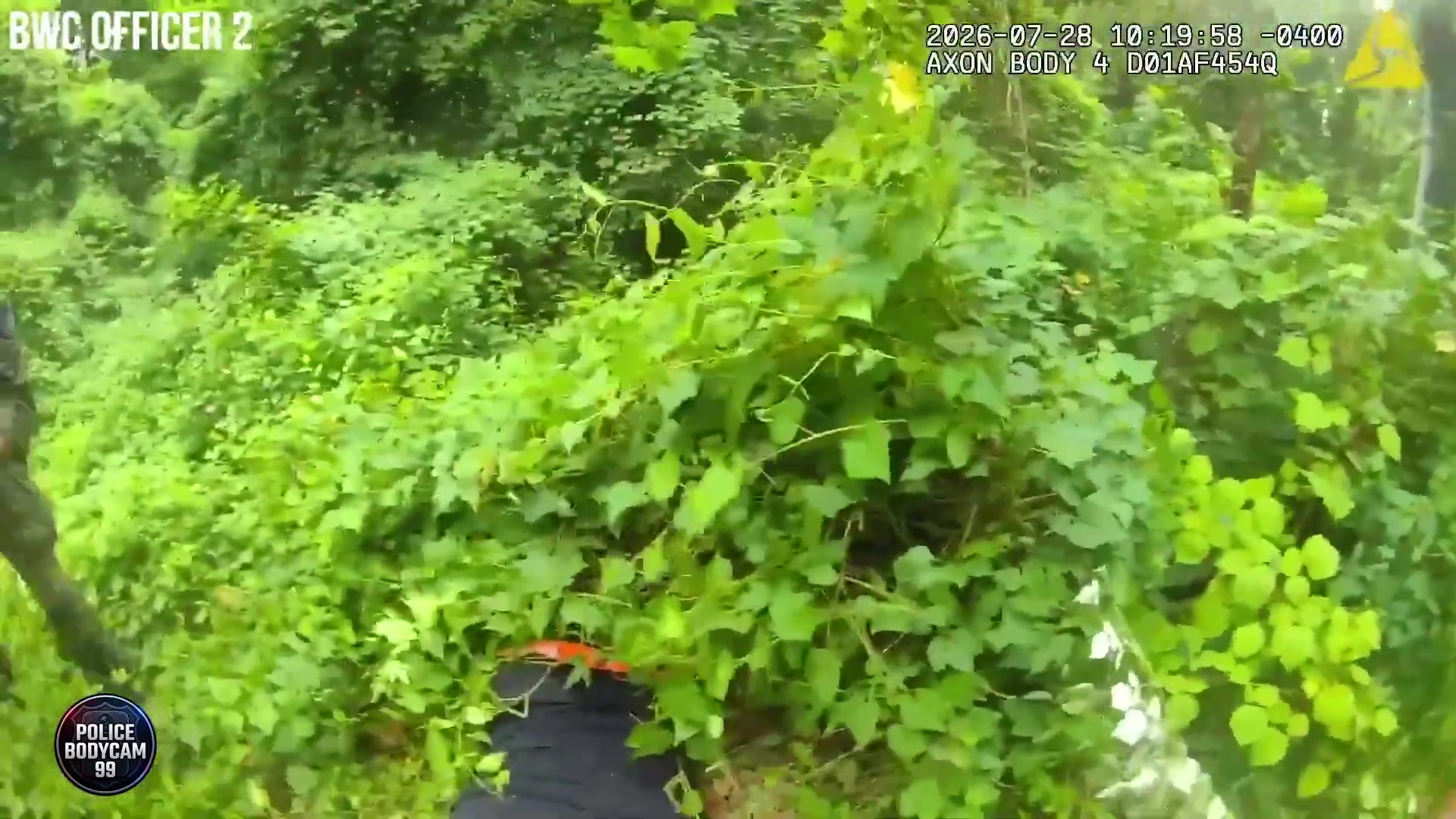 He Suddenly Emerged From the Brush..Then Reached for an Officer’s Gun