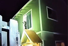 MAN DANGLES BABY THEN GETS SHOT AFTER ASSAULTING OFFICER WITH MACHETE