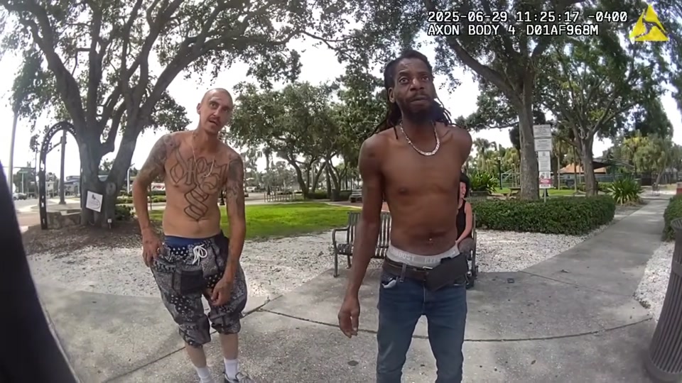 Thumbnail frame extracted from the supplied police body-camera video