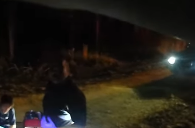 Husband K**ls His Wife Then Blames a Pine Tree