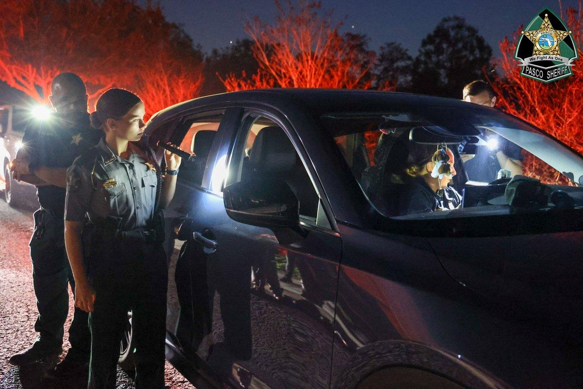 Woman Tries to Steal Police Car During DUI Arrest