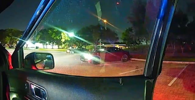 Woman Flees Police in Stolen Car, Ends Badly