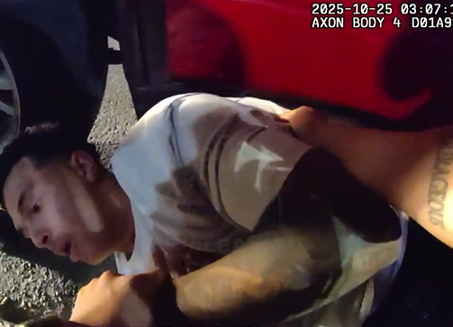 Man Pulls a Police Horse’s Tail, Instantly Regrets It